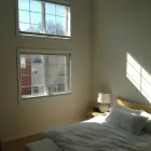 Business 3 image HOLY ROLLERS PAINTING Real Estate & Home Improvement in Toronto ON