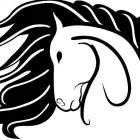 Business 4 image HORSE'N AROUND Sports & Recreation in Red Deer AB