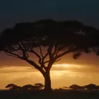 Business 2 image IMAX VICTORIA (INSIDE THE ROYAL BC MUSEUM) Cinemas in Victoria BC