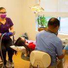Entreprises 6 image INNES DENTAL CLINIC Health & Medicine dans Orléans ON