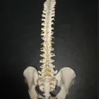 Entreprises 8 image INNOVATION PHYSICAL THERAPY Physiotherapists dans Edmonton AB