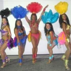 Business 4 image INSPIRACION LATINA DANCE COMPANY Party & Event Planners & Organizers in Toronto ON