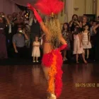 Business 23 image INSPIRACION LATINA DANCE COMPANY Party & Event Planners & Organizers in Toronto ON