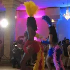 Business 25 image INSPIRACION LATINA DANCE COMPANY Party & Event Planners & Organizers in Toronto ON