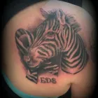 Entreprises 6 image INSPIRATION TATTOO & PIERCING Tattoos & Body Piercing dans Peterborough ON