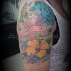 Entreprises 15 image INSPIRATION TATTOO & PIERCING Tattoos & Body Piercing dans Peterborough ON