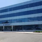 Entreprises 1 image IT MANGOES INC. It Services dans Brampton ON