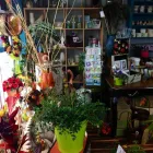 Entreprises 3 image JANET'S FLOWERS LTD Shopping dans Dartmouth NS