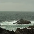 Entreprises 4 image JANIE'S GOT A BUS travel & tourism dans Nanaimo BC