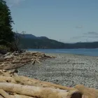 Entreprises 11 image JANIE'S GOT A BUS travel & tourism dans Nanaimo BC