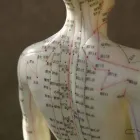 Business 1 image JANIS KRAUSE ACUPUNCTURE Smoking Cessation Programs & Services in Regina SK