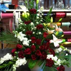 Entreprises 5 image JARDIN DE ROSES Shopping dans Saint-hubert QC