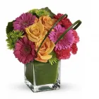 Business 4 image JOANNA'S FLORIST Shopping in Hamilton ON