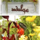 Entreprises 3 image JOANNE LIPP EUROPEAN SKIN CARE ELECTROLYSIS Hair Removal Services dans Mississauga ON