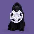 Business 3 image JOHNSON INSURANCE Legal & Financial Services in Burlington ON