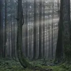 Business 1 image JUNKIN LAW OFFICE Legal & Financial Services in North Vancouver BC