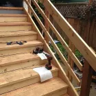 Entreprises 8 image JUSTRENOZ Real Estate & Home Improvement dans Victoria BC