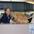 Entreprises 9 image KATO ANIMAL HOSPITAL Veterinarians dans Toronto ON