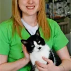 Entreprises 4 image KATO ANIMAL HOSPITAL Veterinarians dans Toronto ON