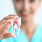Entreprises 8 image KEELE CROSSTOWN DENTAL Dentures dans York ON
