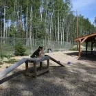 Entreprises 3 image KELORE KENNELS Business & Professional Services dans Grande Prairie AB