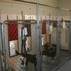 Entreprises 2 image KELORE KENNELS Business & Professional Services dans Grande Prairie AB