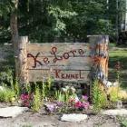 Entreprises 8 image KELORE KENNELS Business & Professional Services dans Grande Prairie AB