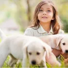 Entreprises 5 image KERRISDALE VETERINARY HOSPITAL LTD Veterinarians dans Vancouver BC