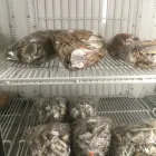 Business 6 image KNYAW LUCKY STORE Supermarkets in Thunder Bay ON