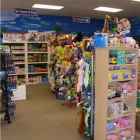 Business 4 image KOOL & CHILD Toys & Games Shops in Nanaimo BC