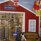 Business 2 image KOOL & CHILD Toys & Games Shops in Nanaimo BC