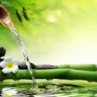 Entreprises 3 image L' ESPRIT MEDSPA INC Massage Therapists dans Markham ON