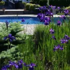 Entreprises 2 image LANDSCAPING VAUGHAN Landscaping Company dans Vaughan ON