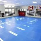 Entreprises 6 image LANGLEY DRAGON TAE KWON DO INC Sports & Recreation dans Langley BC