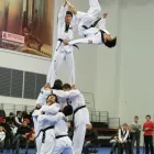 Entreprises 8 image LANGLEY DRAGON TAE KWON DO INC Sports & Recreation dans Langley BC