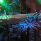 Business 8 image LASERTOPIA Arts, Entertainment & Nightlife in Winnipeg MB