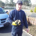 Entreprises 10 image LIDDLE RASCALS Pest Control Equipment & Supplies dans Scarborough ON