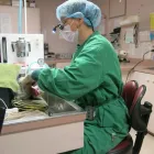 Business 2 image LITTLE MOUNTAIN VETERINARY CLINIC Veterinarians in Chilliwack BC