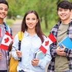 Business 1 image LIVIN IMMIGRATION CONSULTANT EDMONTON Immigration Lawyers in Edmonton AB