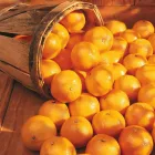 Entreprises 2 image LOBLAWS Supermarkets dans Port Credit ON