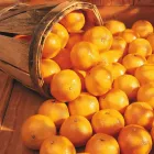 Business 5 image LOBLAWS Supermarkets in North York ON