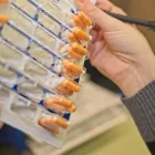 Business 28 image LOCK'S PHARMACY Pharmacies in Chilliwack BC