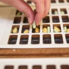 Business 32 image LOCK'S PHARMACY Pharmacies in Chilliwack BC