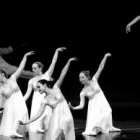 Business 3 image LONDON SCHOOL OF DANCE Education in Toronto ON