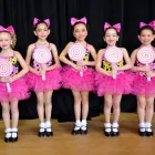 Business 4 image LORRI'S DANCE PLACE UNLIMITED LTD Education in Woodbridge ON