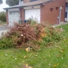 Entreprises 1 image LOW BALL PRICE TREE SERVICE Tree Work & Forestry Services dans Oakville ON