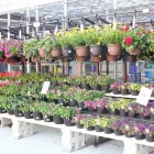 Entreprises 9 image LOWE'S HOME IMPROVEMENT Shopping dans Nanaimo BC