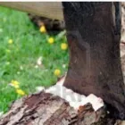 Business 5 image M & M MOBILE SHARPENING Tool Sharpening Services in Vancouver BC