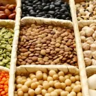 Business 2 image MA GLOBAL CORP Organic Foods in Brampton ON