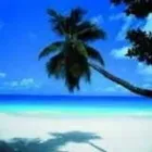 Entreprises 1 image MACLEOD TRAVEL CRUISE CENTRE Travel Agents dans Sydney NS
